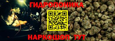 дмт Кинель