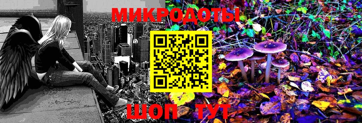 Псилоцибиновые грибы прущие грибы  Вход с VPN  Биробиджан 